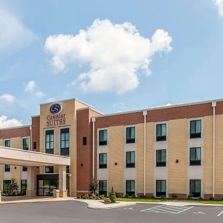 Comfort Suites Rensselaer Near Fair Oaks Buitenkant foto