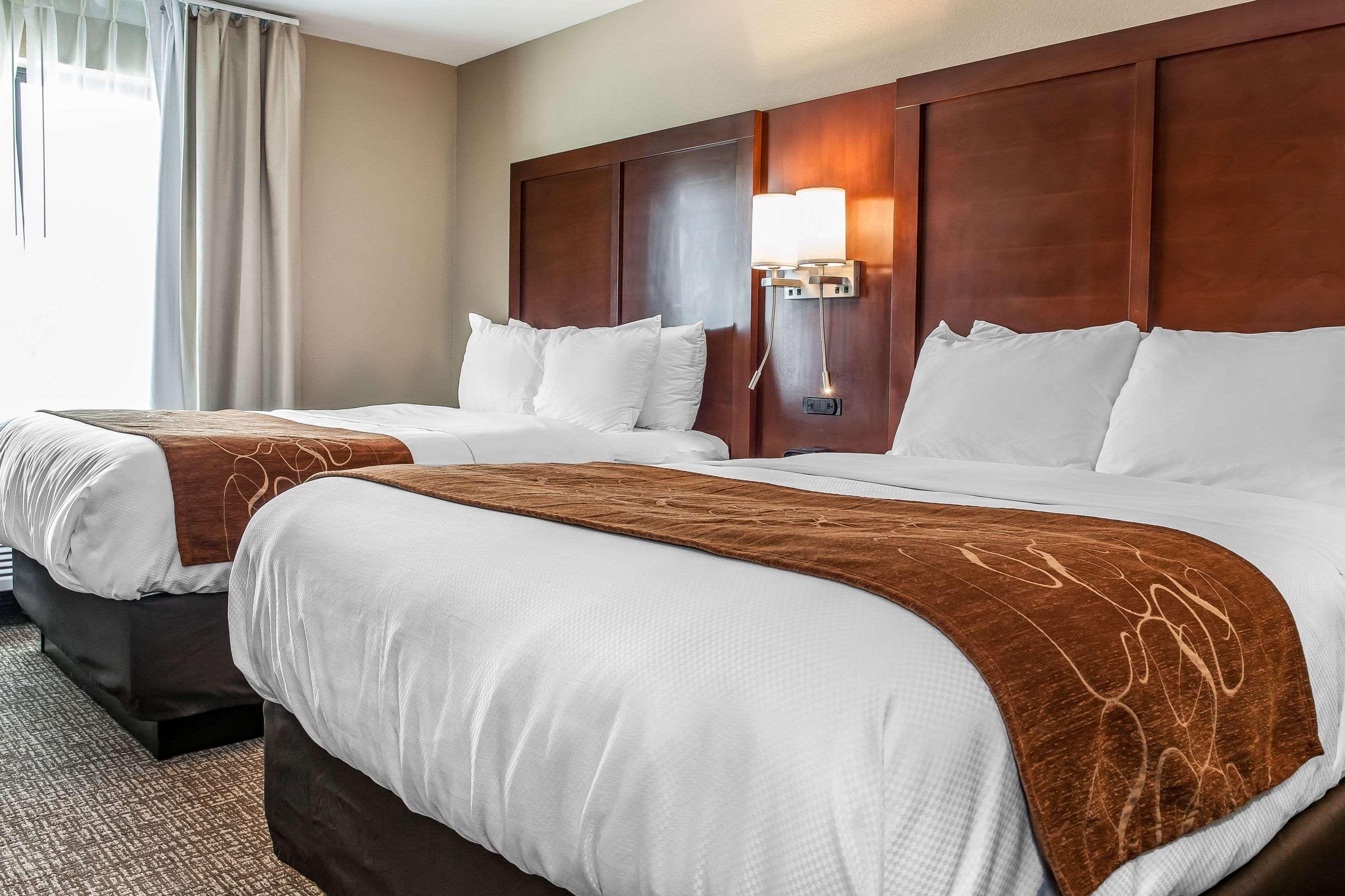 Comfort Suites Rensselaer Near Fair Oaks Buitenkant foto
