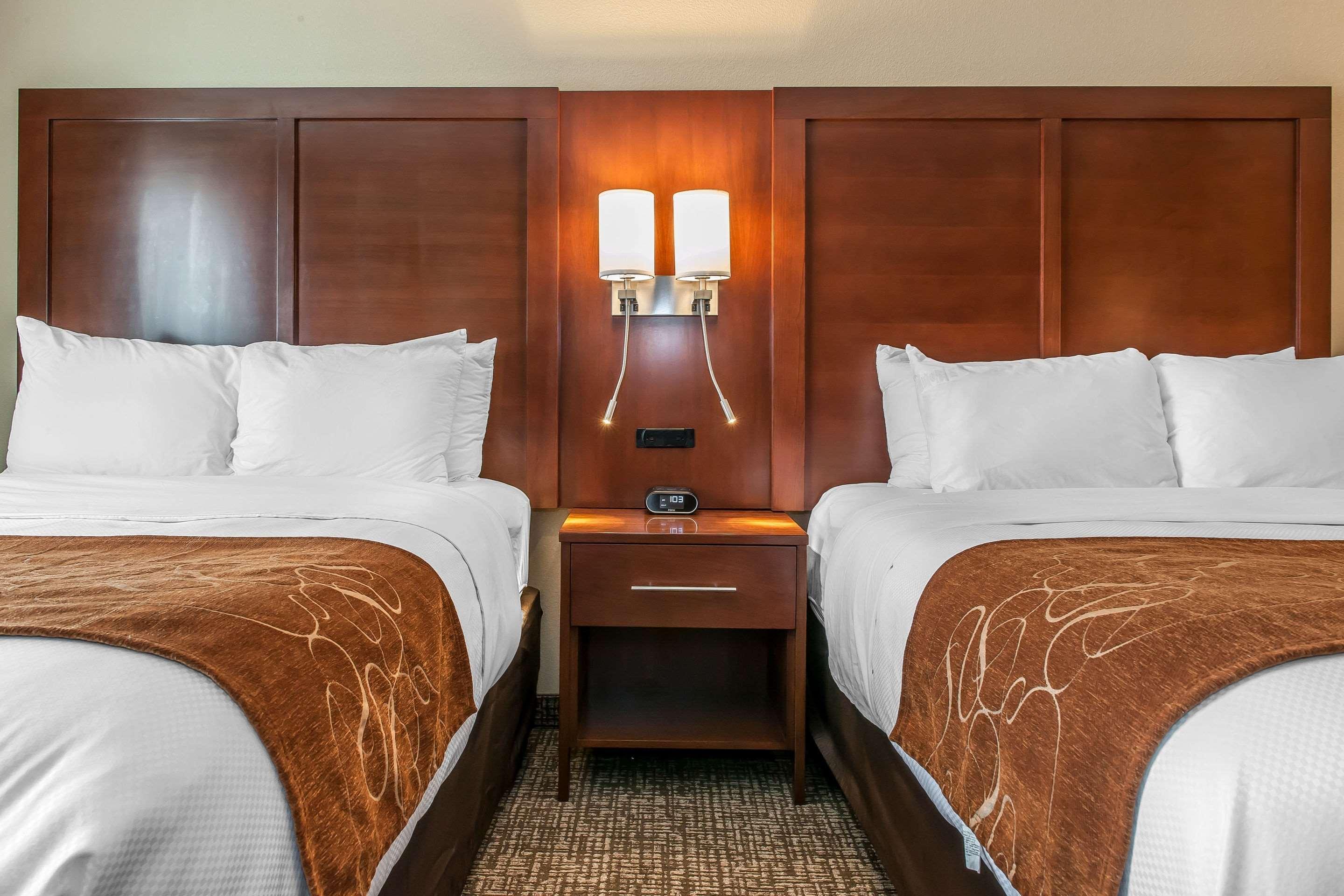 Comfort Suites Rensselaer Near Fair Oaks Buitenkant foto