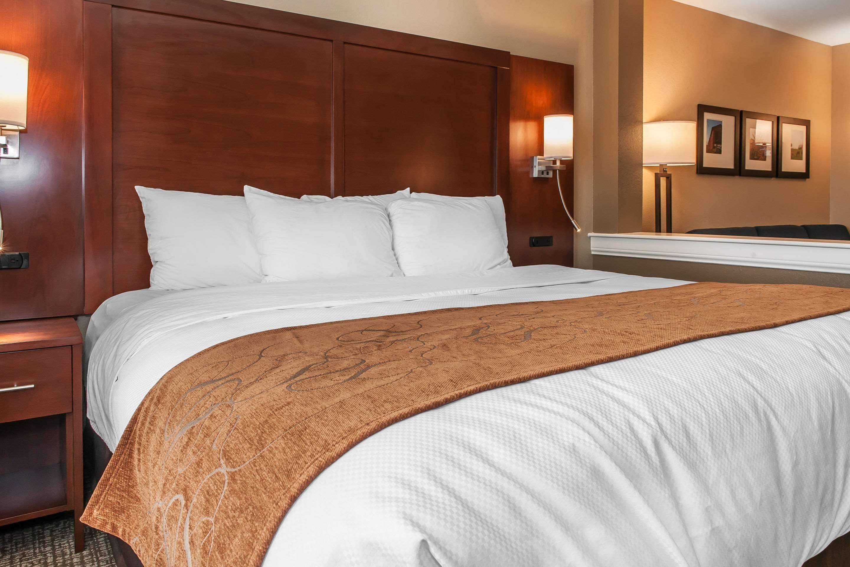 Comfort Suites Rensselaer Near Fair Oaks Buitenkant foto